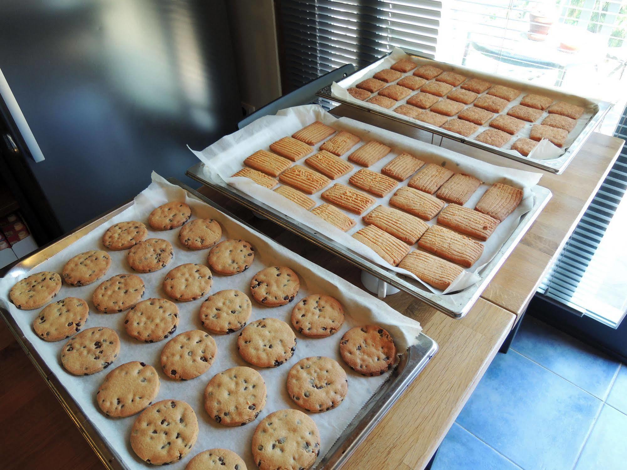 Terrasole Bakery B&B Terrasini Dış mekan fotoğraf