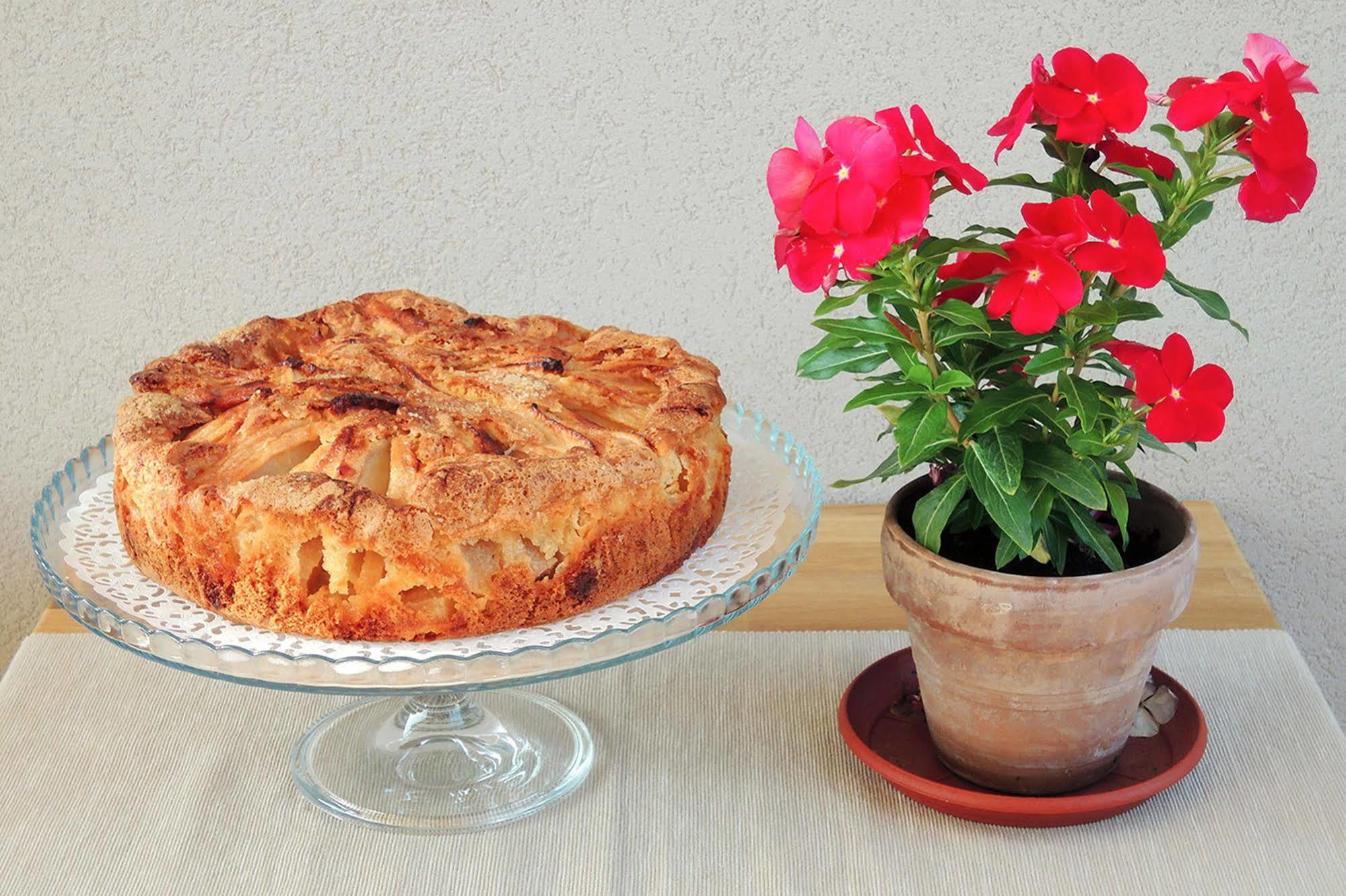 Terrasole Bakery B&B Terrasini Dış mekan fotoğraf